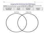 The Animal Cell Worksheet Along with 37 Best Rehc Images On Pinterest
