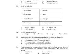 The Big Energy Gamble Worksheet Answers and Set Botany Previous Question Papers with Answer Key Kerala 2010 2…