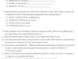The Cell Cycle Coloring Worksheet Questions Answers Also Important Questions for Class 11 Biology Chapter 10 Cell Cycle and