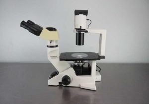 The Compound Light Microscope Worksheet Along with Olympus Ckx41 Inverted Phase Contrast Microscope