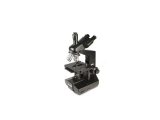The Compound Light Microscope Worksheet or Biologick Trinokulrn Mikroskop Levenhuk 870t Infotocz