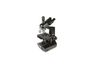 The Compound Light Microscope Worksheet or Biologick Trinokulrn Mikroskop Levenhuk 870t Infotocz