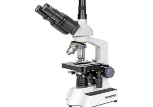 The Compound Light Microscope Worksheet or Foto A Video Technika A Doplnky Bresser Aqtsk