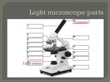 The Compound Light Microscope Worksheet with Light Microscopy Clipart Microscope Slide Pencil and In Co