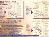 The Electoral Process Worksheet and Liberia "steps In the Voting Process" Poster Unmil —