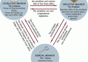The Executive Branch Worksheet as Well as Checks and Balances