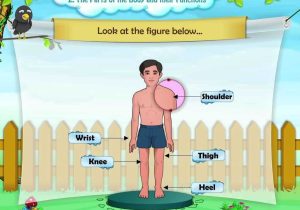 The Framework Of the Body Worksheet Answers and External Parts Of the Human Body Anatomy Chart Body