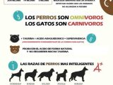The Gender Of Nouns Spanish Worksheet Answers or 68 Best All About Me Images On Pinterest