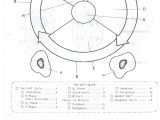 The Gift Of the Magi Worksheet Answer as Well as Cell Cycle Worksheet the Best Worksheets Image Collection