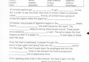 The Human Digestive Tract Worksheet Answers as Well as Crossword Puzzle Digestive System Highest Clarity the Human