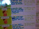 The Human Digestive Tract Worksheet Answers or Digestive System 5th Grade Education Science Pinterest
