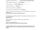 The Human Digestive Tract Worksheet Answers or Niedlich the Anatomy and Physiology Animals Digestive System