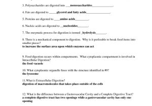 The Human Digestive Tract Worksheet Answers or Niedlich the Anatomy and Physiology Animals Digestive System