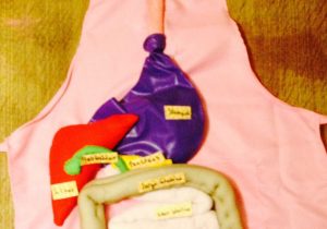 The Human Digestive Tract Worksheet Answers with School Project Digestive System Crafts for Kids