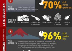 The Human Footprint National Geographic Worksheet Answers Also 99 Best History Of Earth Images On Pinterest