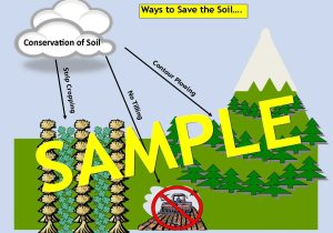 The Lorax and Sustainable Development Worksheet Answer Key Along with 71 Best Ecology Images On Pinterest