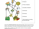 The Lorax and Sustainable Development Worksheet Answer Key Along with Food Web Worksheets Food Web Worksheet Doc
