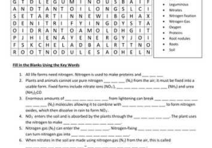 The Nitrogen Cycle Student Worksheet Answers and Nitrogen Cycle Word Search & Dart Activity by Triche Teaching