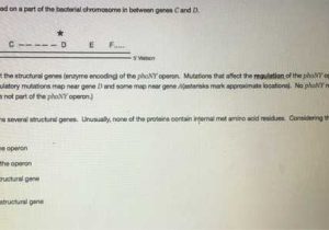 The P53 Gene and Cancer Student Worksheet Answers Along with Biology Archive November 21 2017