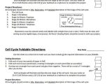 The P53 Gene and Cancer Student Worksheet Answers as Well as 1096 Best Biology Class Images On Pinterest