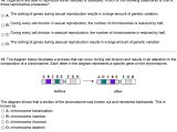The P53 Gene and Cancer Student Worksheet Answers or Mutations and Genetic Variability 1 What is Occurring In the