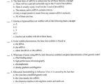 The P53 Gene and Cancer Student Worksheet Answers with Biology Archive July 24 2017