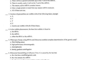 The P53 Gene and Cancer Student Worksheet Answers with Biology Archive July 24 2017