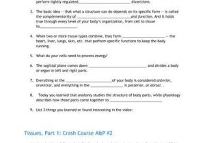 The Progressive Era Video Worksheet Answers as Well as Pirate Stash Teaching Resources Tes