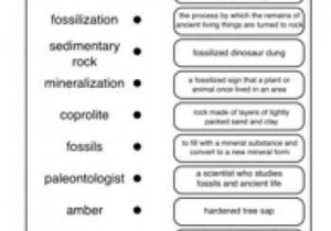 The Relative Age Of Rocks Worksheet or Fossil Word Match Fossils Worksheet 2