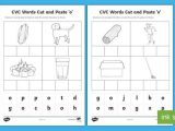 The Role Of Media Worksheet together with Cvc Words Cut and Paste Worksheets O Cvc Worksheets Cvc Words