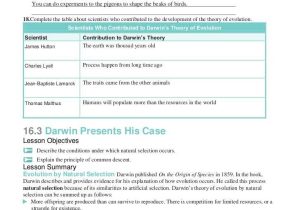 The theory Of Evolution Chapter 15 Worksheet Answers Along with Chapter 16 Worksheets