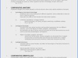 The theory Of Evolution Chapter 15 Worksheet Answers and Inspirational Evidence Evolution Worksheet Answers Best