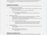 The theory Of Evolution Chapter 15 Worksheet Answers together with Awesome Evidence Evolution Worksheet Answers Inspirational