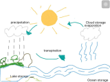 The Water Cycle Worksheet Answer Key as Well as Water Cyclebucklands Beach Primary School