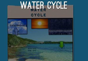 The Water Cycle Worksheet Answer Key or Boilogy Project by Allisonroee