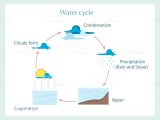 The Water Cycle Worksheet Answer Key or Water Cycle Scheme Stock Vector Art and More Of Blue 83