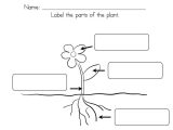 The Water Cycle Worksheet Answer Key with Kindergarten Parts A Plant Worksheet for First Grade Prin