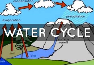 The Water Cycle Worksheet Answer Key with Water Cycle by Gabriel Garza by Kaneice