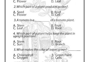 Third Grade Science Worksheets Along with 381 Best Science Images On Pinterest