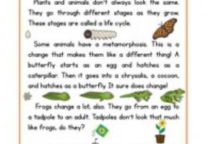 Third Grade Science Worksheets Also 2nd Grade Science Worksheets for All