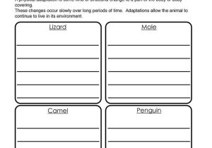 Third Grade Science Worksheets or Living and Non Living Things Worksheets