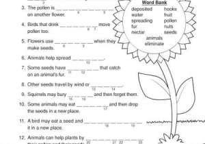 Third Grade Science Worksheets or Science Worksheets 2nd Grade Worksheets for All