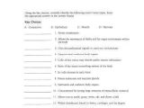 Tissue Worksheet Anatomy Answers Along with Tissue Worksheet Answer Key Anatomy Kidz Activities
