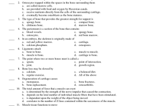Tissue Worksheet Answer Key Along with Ausgezeichnet Examples Anatomy and Physiology Exam Questions