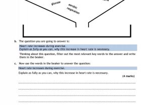 Tissue Worksheet Answer Key and Ks4 Cells organs and Systems Ks4