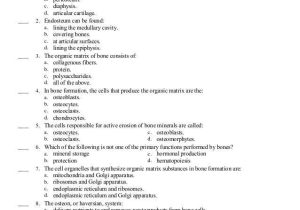 Tissue Worksheet Answers as Well as Fein Anatomy and Physiology Chapter 2 Test Quizlet Galerie