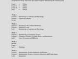 Tissue Worksheet Section A Intro to Histology Answers Along with Großzügig 19 Wochen Anatomie Ultraschall Ideen Menschliche