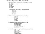 Tissue Worksheet Section A Intro to Histology Answers and Fein Chapter 1 Anatomy and Physiology Quiz Ideen Menschliche