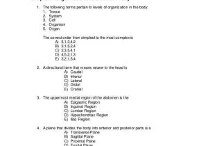 Tissue Worksheet Section A Intro to Histology Answers and Fein Chapter 1 Anatomy and Physiology Quiz Ideen Menschliche