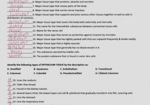 Tissue Worksheet Section A Intro to Histology Answers with Fantastisch Anatomy and Physiology Lab Manual Zeitgenössisch